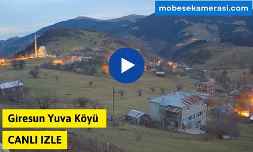 Giresun Yuva Köyü Canlı Mobese izle